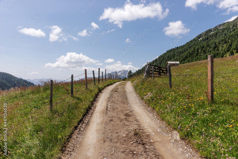 Alpine small mountain road and hiking trail path in the alps