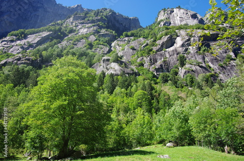 Landscape  Italy Val Masino