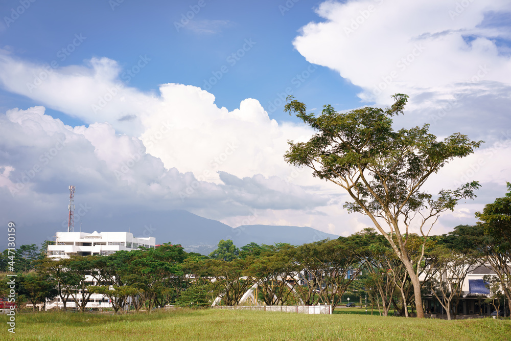 Fototapeta premium view of the city