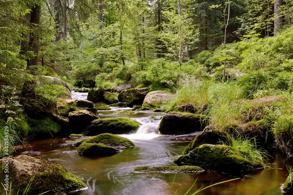 Naturpfad am weissen Main im Fichtelgebirge Naturpfad am weissen Main im Fichtelgebirge