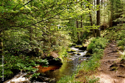 Naturpfad am weissen Main im Fichtelgebirge