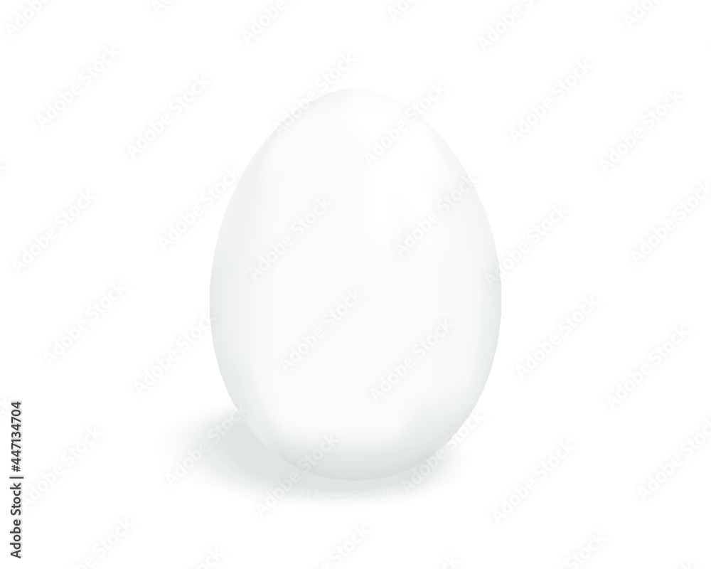 White egg isolated on a white background