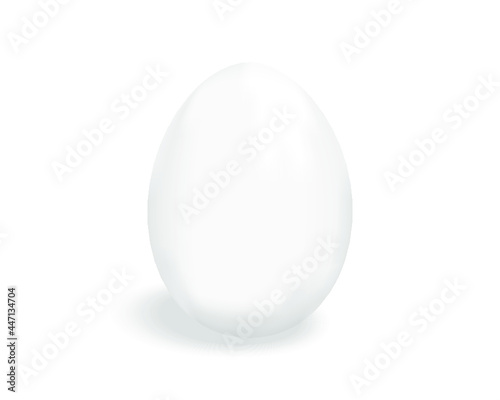 White egg isolated on a white background