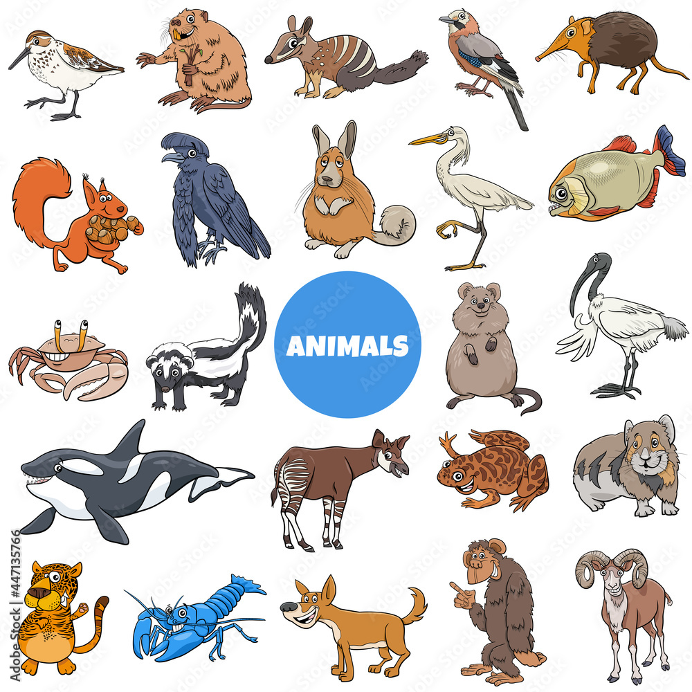 cartoon wild animal species characters big set Stock Vector | Adobe Stock