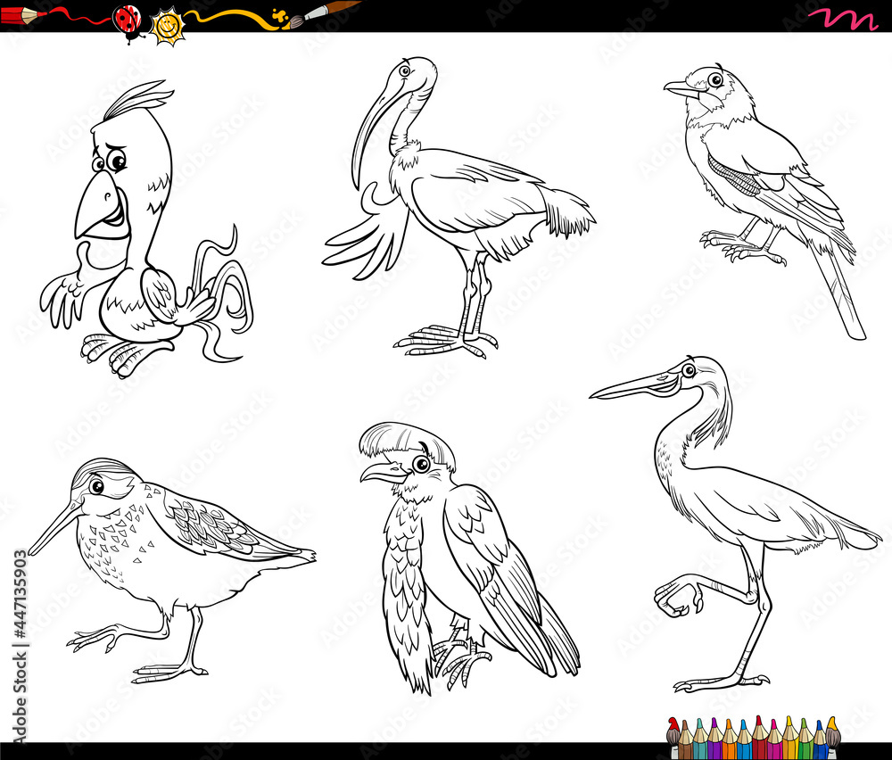 Obraz premium cartoon birds animals characters set coloring book page