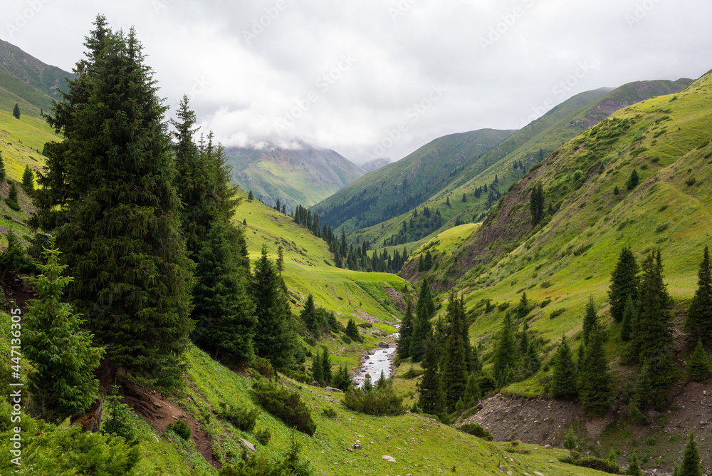 Naklejka premium Tekes river mountain valley. Traditional Kazkakh agricultural area. Summer pastures and horse breeding. 