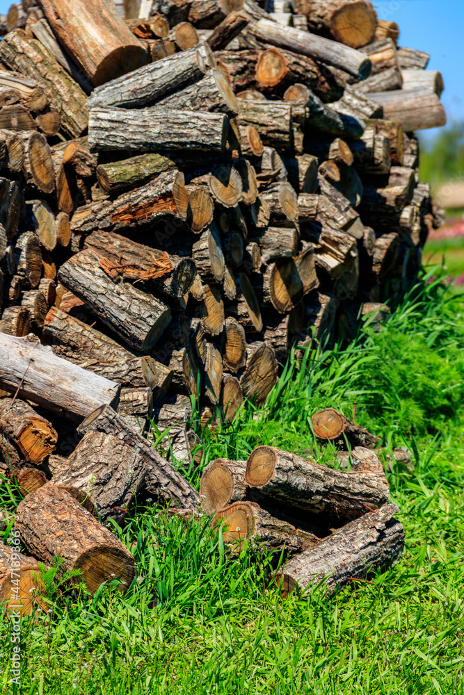 Pile of firewood on a green lawn at backyard Pile of firewood on a green lawn at backyard