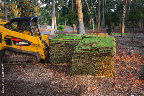 Small yellow tractor with forklift attachment prepared to lift pallet of cut sod at landscaping work site in early morning with no people