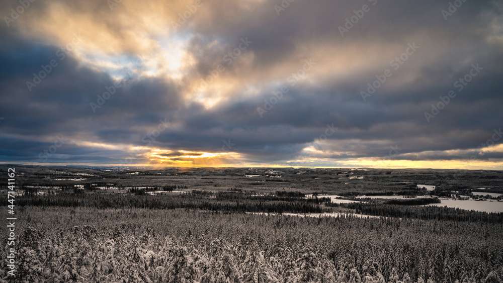 A panoramic view of the snow covered trees in the snowdrifts horizon. Natural landscape with dramatic beautiful sunrays through the cloudy sky.