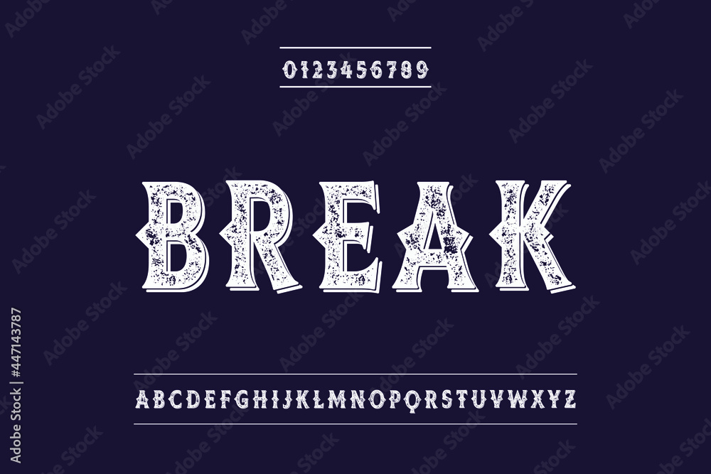 modern lettering.Hand drawn, Script, Vintage font, Elegant font ...