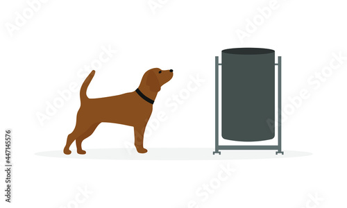 Dog with collar sniffing trash can on white background