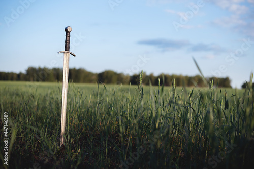Canvastavla The ancient sword stuck in the ground background.