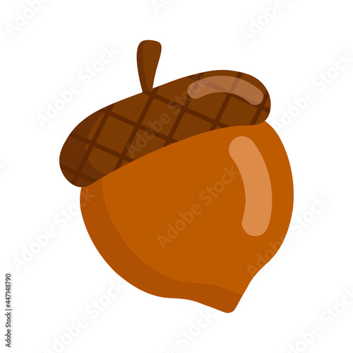 Illustration with cartoon acorn isolated on white background. Vector illustration for autumn design. Cartoon style. photo