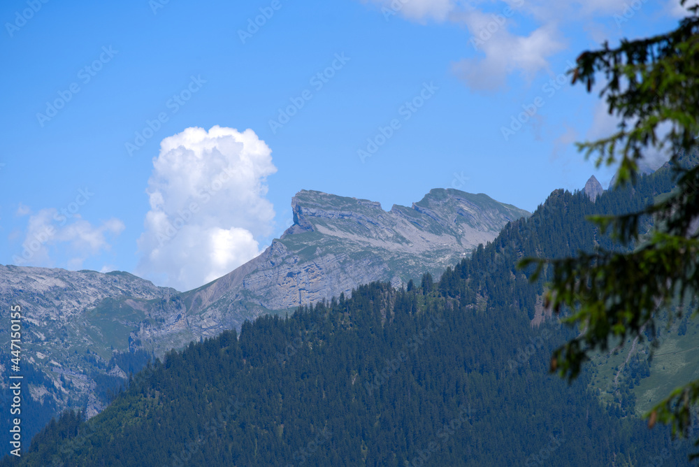 Fototapeta premium Landscape in the mountains at Bernese highland on a beautiful summe day. Photo taken July 20th, 2021, Lauterbrunnen, Switzerland.