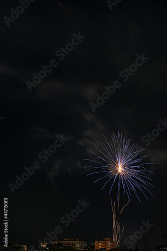 Fuegos artificiales con muchos colores sobre la ciudad y  fondo negro en formato vertical con espacio.