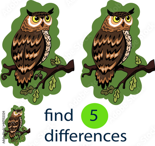 A game for children to find the differences. Owl