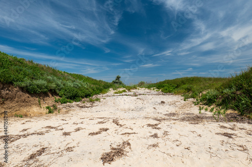 Sea beach between green grass. Wide sandy road in the field. Very beautiful sky with white clouds © YAROSLOVEPHOTOVIDEO