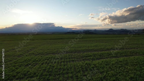 Czech Central Mountains (České středohoří) Raná hill by Louny city in Ceske stredohori,Czech republic,Europe, aerial panorama view of flying in the green fields towrds the mountains	
 photo