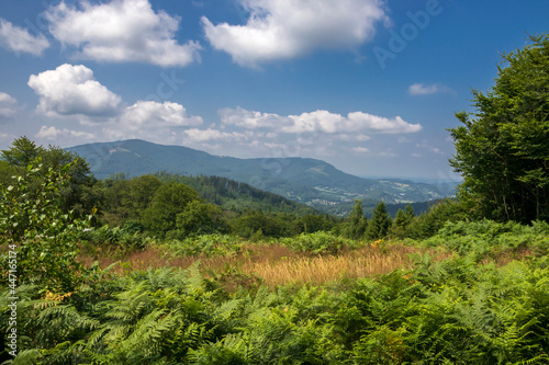 Sunny landscape in the Silesian Beskids