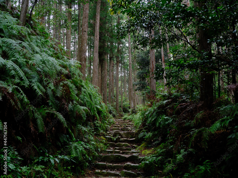 熊野古道 熊野古道