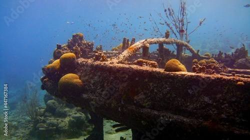 Underwater photo of a tugboat wreck artificial reef environment in the shallow waters of the shores of Tugboat Beach, Curacao
