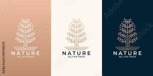 beauty nature olive tree logo design set for your business saloon, cosmetic, spa, health