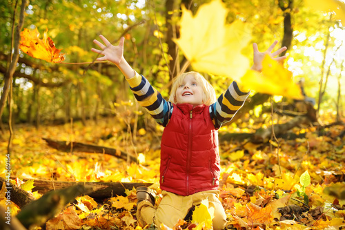 Little boy having fun during stroll in the forest at sunny autumn day. Child playing maple leaves. Baby tossing the leaves up. Active family time on nature. Hiking with little kids.