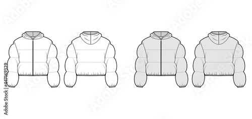 Hooded jacket Down puffer coat technical fashion illustration with long sleeves, zip-up closure, boxy fit, crop length, wide quilting. Flat template front, back, white, grey color. Women, men top CAD