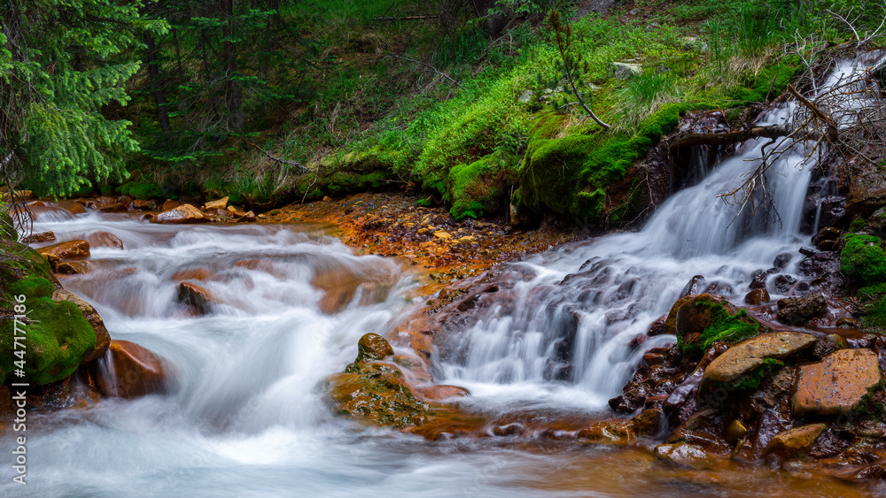 Fototapeta premium Beautiful mountain creek during summer