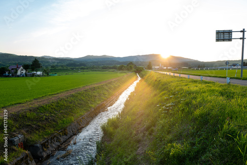 北海道の自然のある風景 Landscape with nature in Hokkaido 