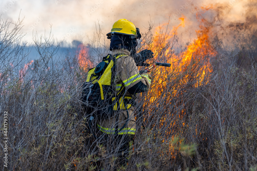 firefighters putting out forest fire firefighters putting out forest fire