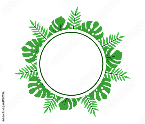 Tropical leaves palm and monstera in green template around a white background that can be used for text. Abstract botanical jungle frame. Greeting card. Vector illustration