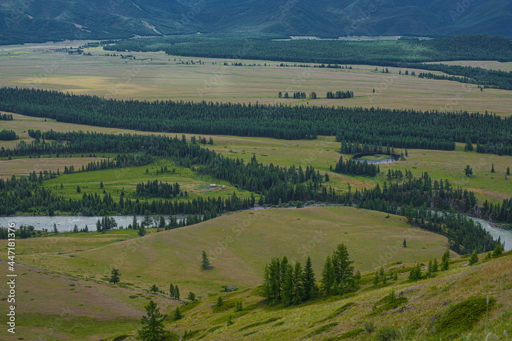 Obraz premium picturesque view of pure rapid river flowing among mountains at summer day 