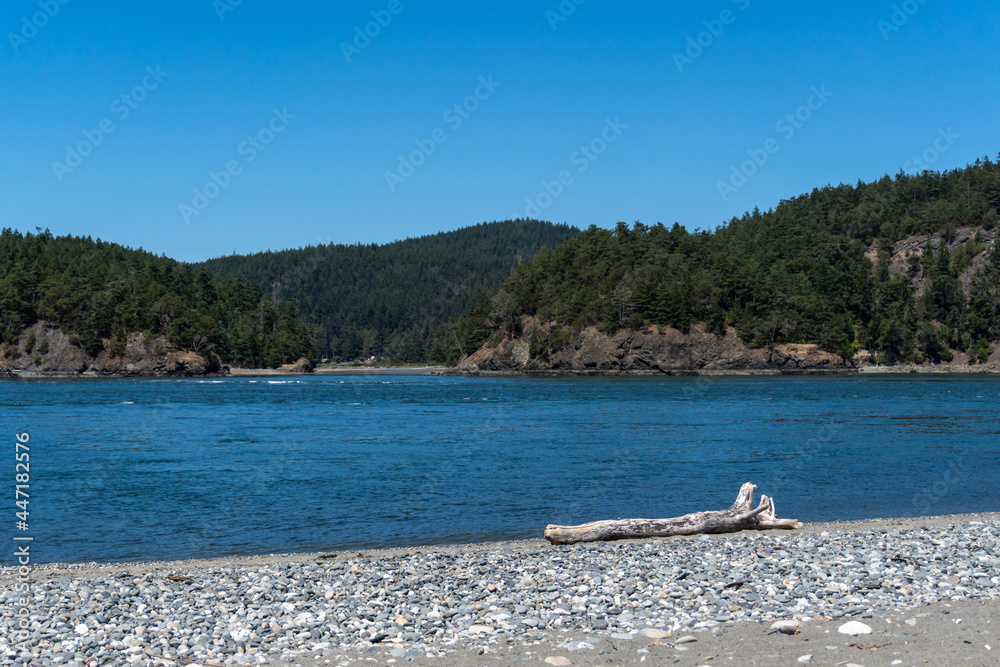 Obraz premium Rocky beach and driftwood