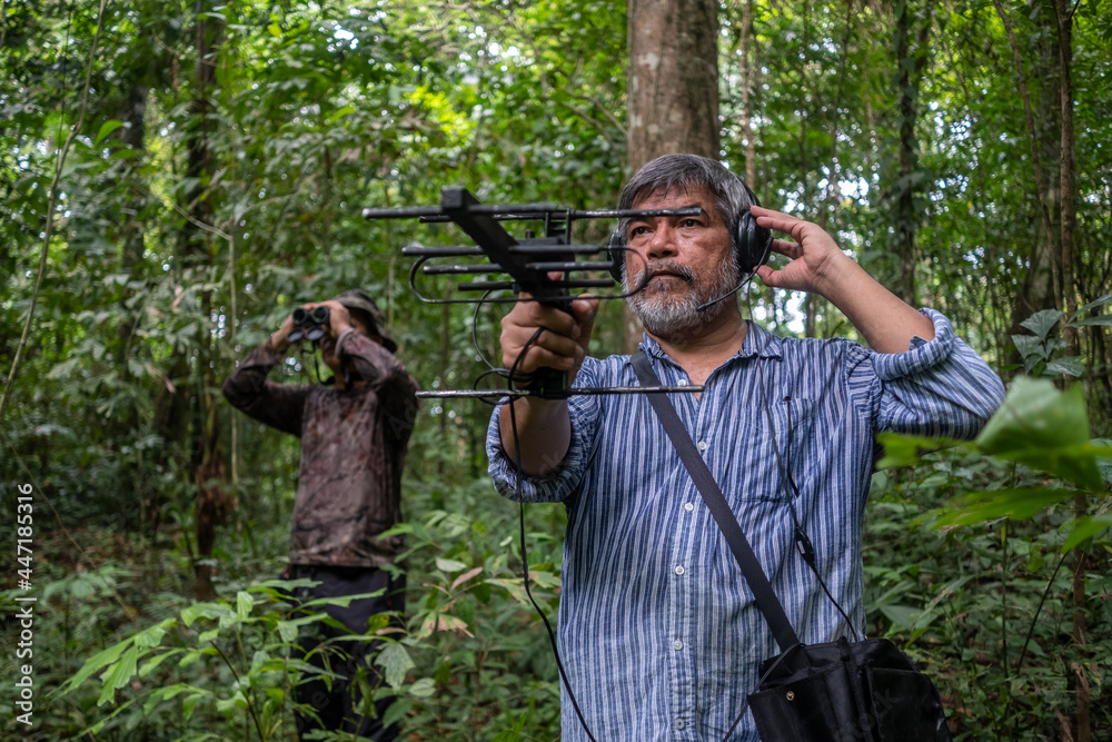 Fototapeta premium animal tracking signal technology,Find animal. The concept of searching