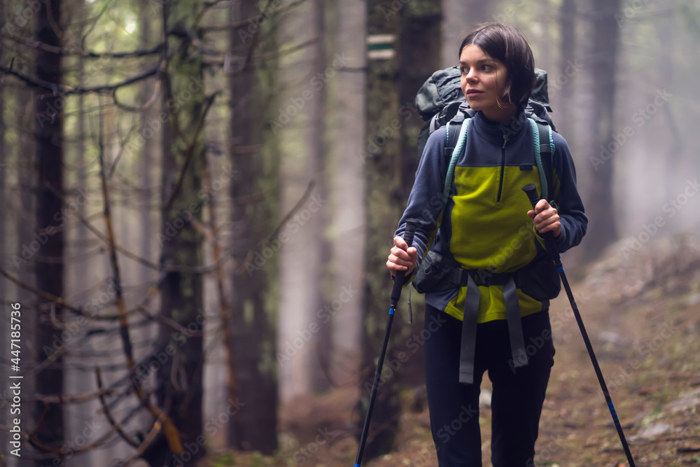 A young girl is engaged in active pastime, walks in the mountains along the trail, the forest with relict trees at sunset on the background. Traveler is hiking in the national park. A young girl is engaged in active pastime, walks in the mountains along the trail, the forest with relict trees at sunset on the background. Traveler is hiking in the national park.