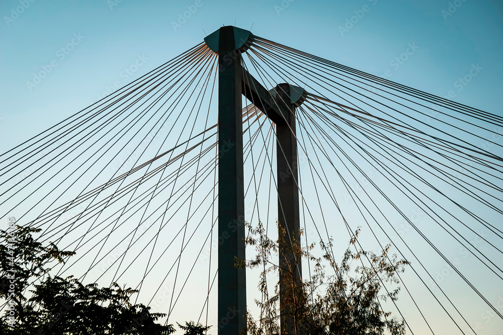 Fototapeta premium Cable bridge over Columbia river in Washington State