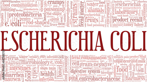 Escherichia Coli vector illustration word cloud isolated on a white background.