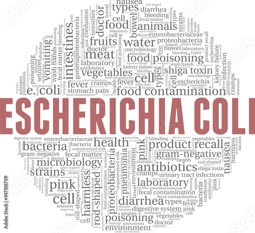 Escherichia Coli vector illustration word cloud isolated on a white background.