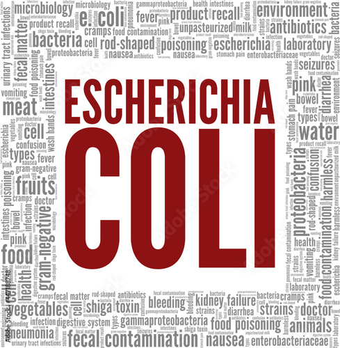 Escherichia Coli vector illustration word cloud isolated on a white background.