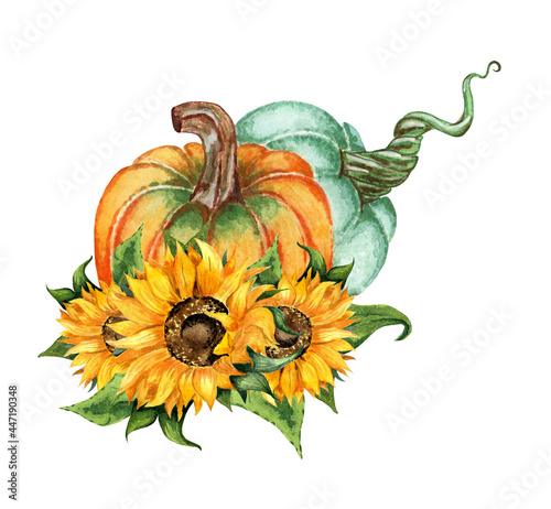 Watercolor illustration Autumn composition of flowers of two pumpkins and a sunflower. Harvest Festival, Thanksgiving. Botanical painting isolated on white background. Drawn by hand