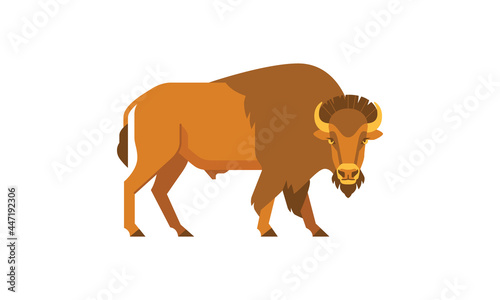 Wild animal American Bison  Bison bison  side angle view  flat style vector illustration isolated on white background