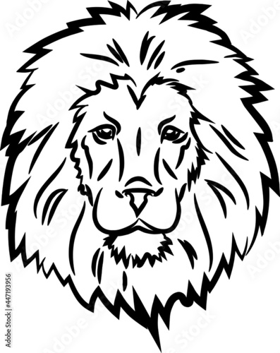 hand drawn lion head with black stroke.