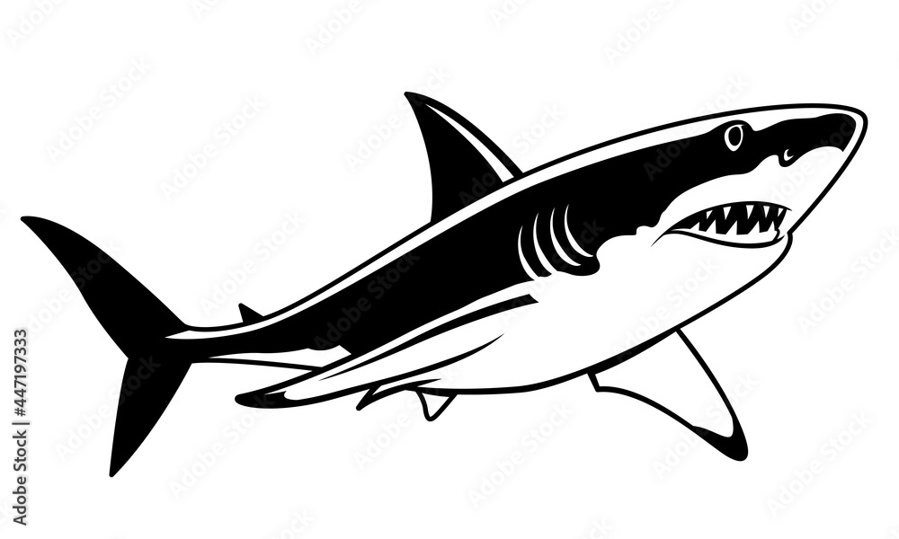 Fototapeta premium Great white shark swimming drawing, black vector shark hunting prey.