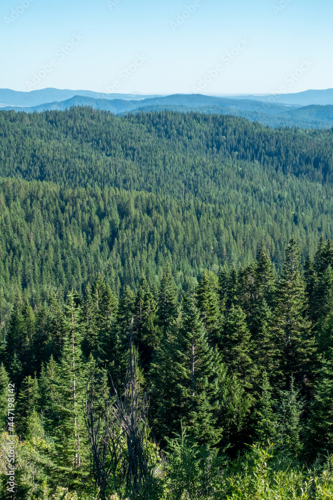 beautiful scenic nature views at spokane mountain in washington state beautiful scenic nature views at spokane mountain in washington state