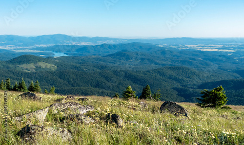 beautiful scenic nature views at spokane mountain in washington state photo