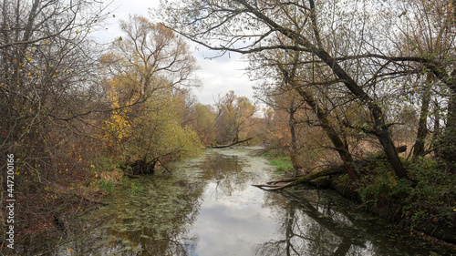 Autumn natural landscape. For postcards and calendars. 6