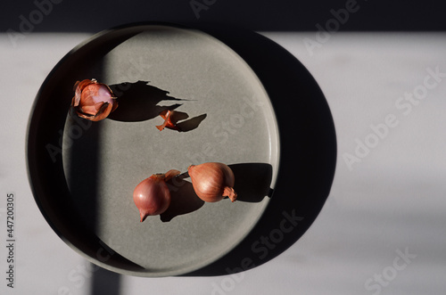 Golden Shallots on a grey background.