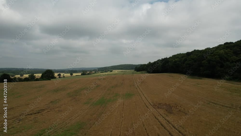Beautiful aerial shot of drone flying over wheat and grass fields, on a cloudy and sunny day.