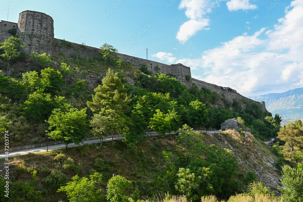 The Kalaja e Gjirokastrës castle of Gjirokastra with green trees in summer and blue sky in Albania